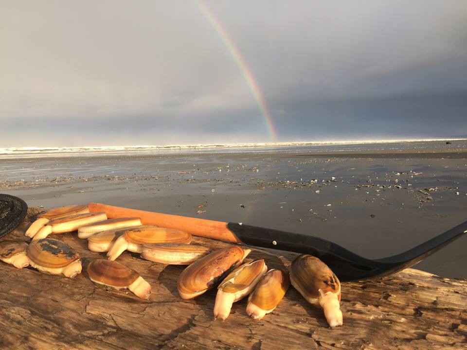 Beach Bum Inn Moclips, WA NW